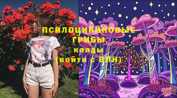 эйфоретик Алзамай