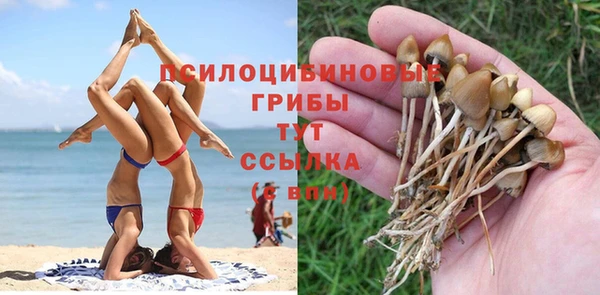 каннабис Алексин